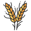 Endowment Policy